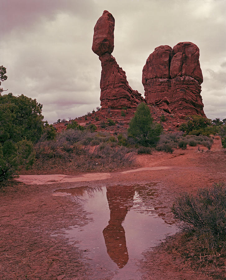 Balanced Rock Reflection Photograph by Tom Daniel