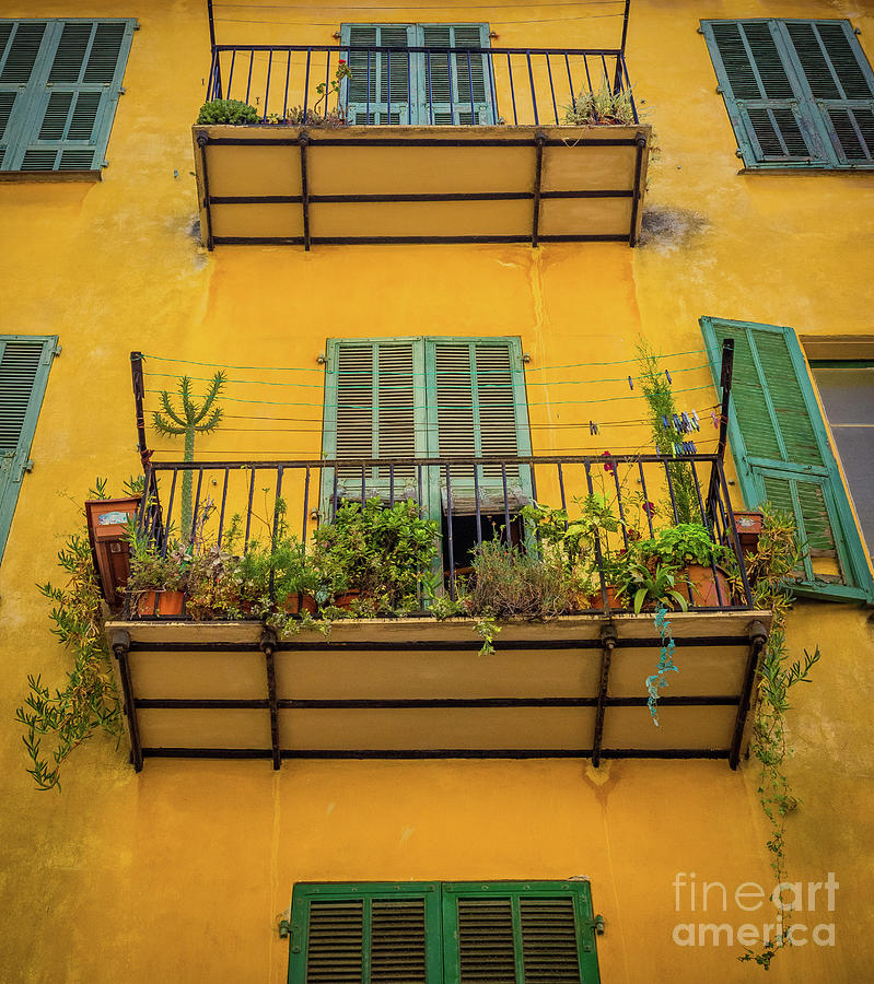 Balconies, Flower Pots, Clotheslines, and Shutters in Old Town N Photograph by Liesl Walsh