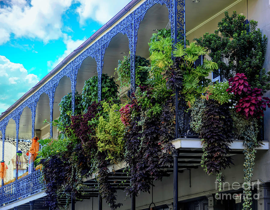 New Orleans Photograph - Balcony garden in the French Quarter. by Minnetta Heidbrink