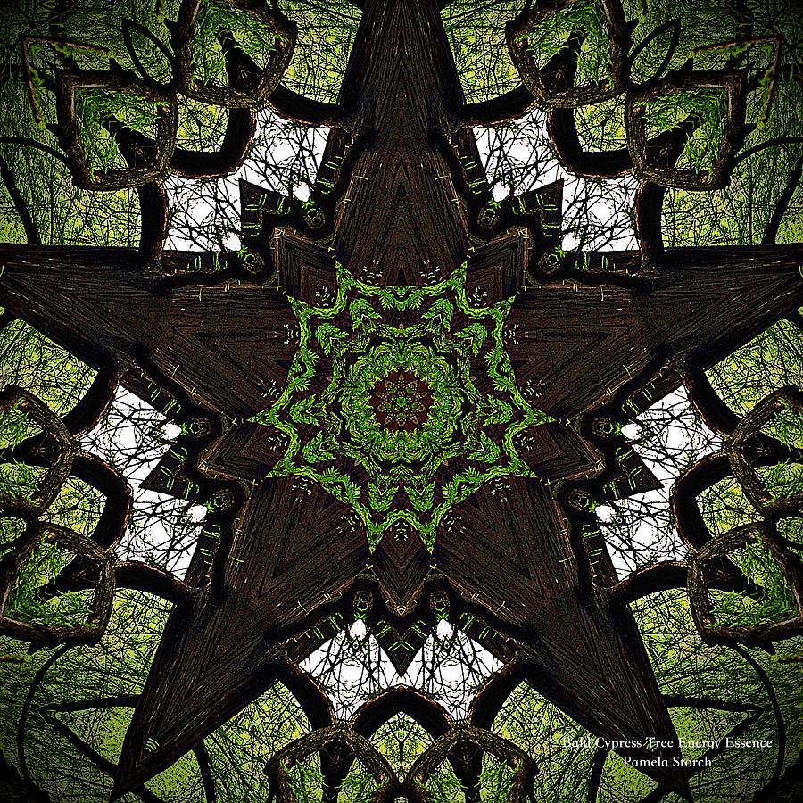 Tree Digital Art - Bald Cypress Tree Energy Essence by Pamela Storch