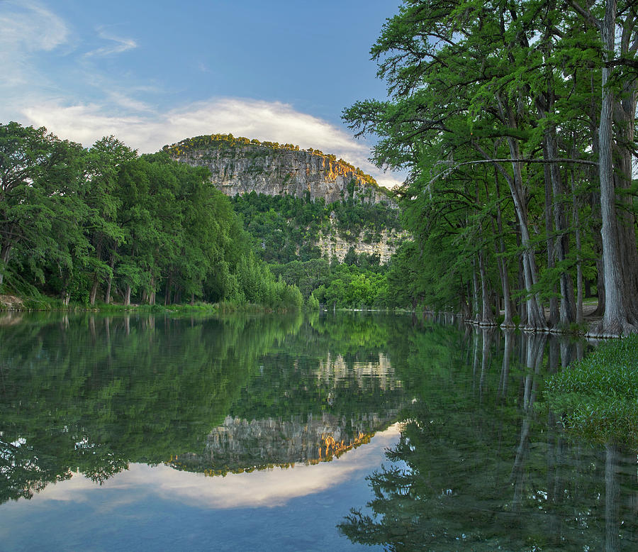 Bald Cypress Trees Along River, Frio River, Old Baldy Mountain, Garner State Park, Texas Photograph by Tim Fitzharris