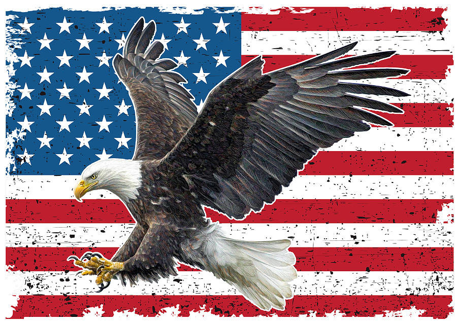 American Bald Eagle And Flag Logos