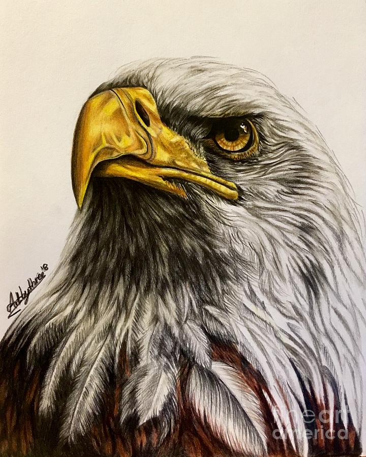 Bald Eagle Drawing by Art By Three Sarah Rebekah Rachel White Pixels