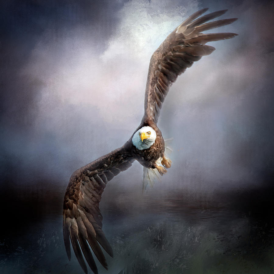 Bald  Eagle Bank Right Digital Art by Jeanette Mahoney