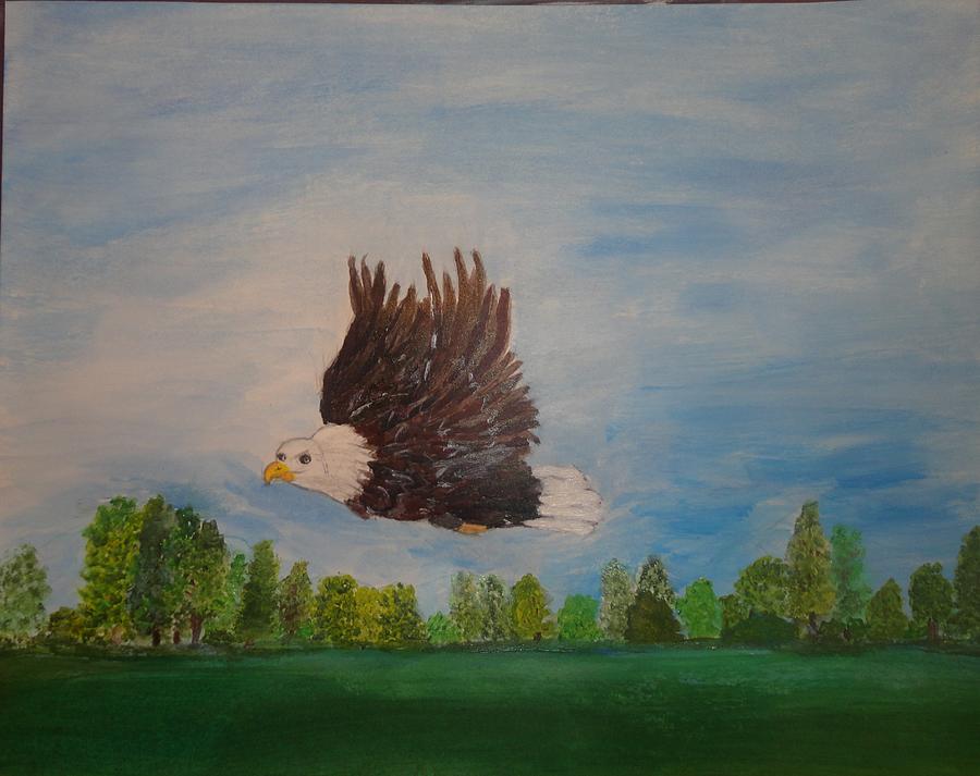 Bald Eagle in Flight by Rosie Foshee Bald Eagle in Flight by Rosie Foshee