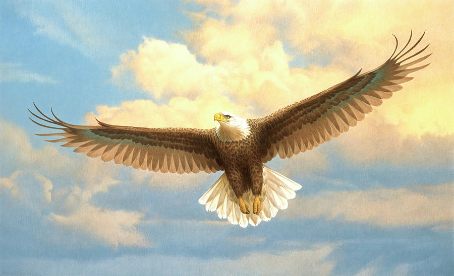 Bald Eagle Painting - Bald Eagle by Joh Naito