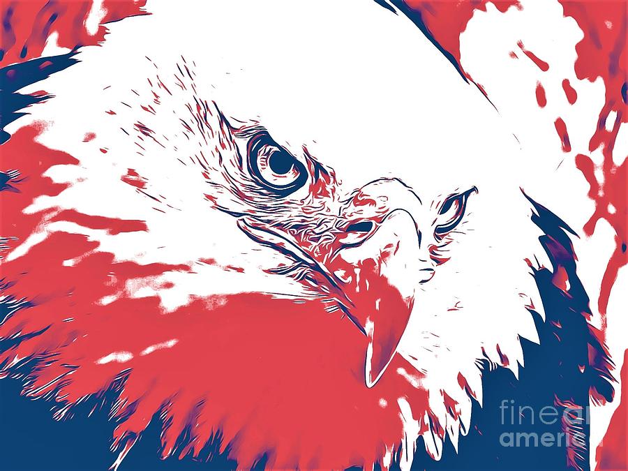 Bald Eagle by Jurgen Huibers Bald Eagle by Jurgen Huibers