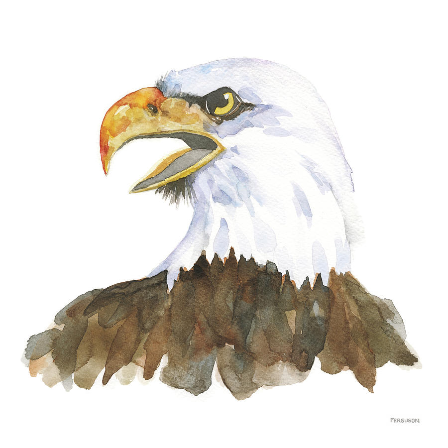 Animal Painting - Bald Eagle by Kathy Ferguson
