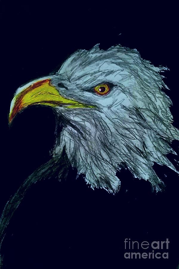 Bald eagle  Drawing by Mark Bradley