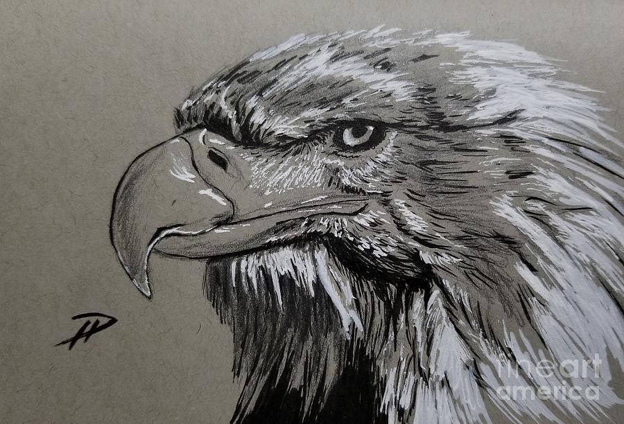 Free art print of Eagle head. Stylised drawing of an Eagles head | FreeArt  | fa4393246