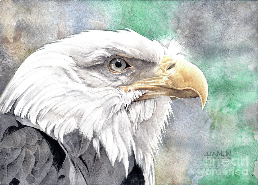 Bald Eagle Profile Painting by Steve Hamlin