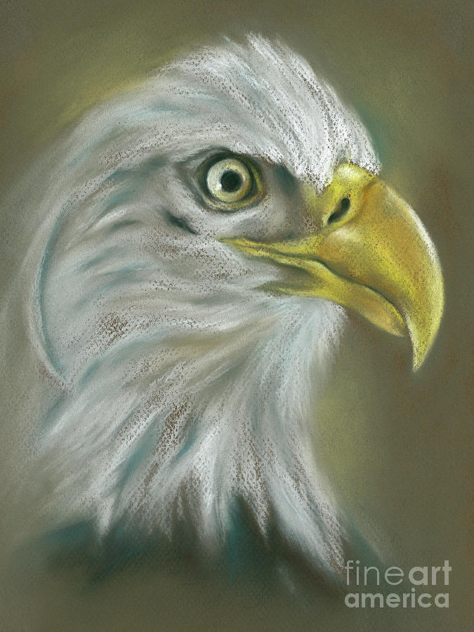 Bald Eagle with a Keen Eye Painting by MM Anderson