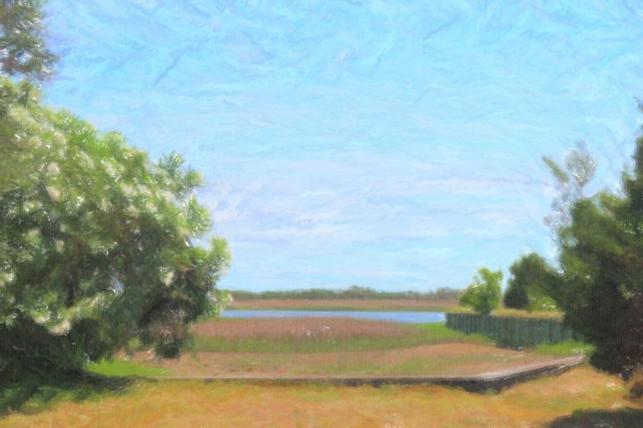 Bald Head Island Palm And Oleander Bush Photograph by Cathy Lindsey ...