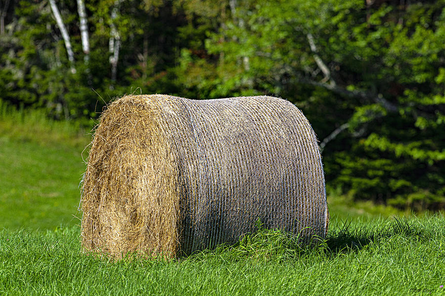 Baled Hay 1 Photograph by Marty Saccone