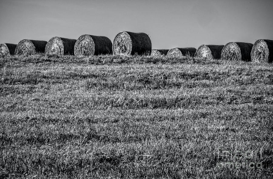 Baled Hay No. 02 Photograph by James Aiken