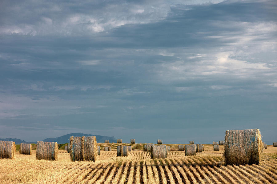 Landscape Photograph - Bales After the Storm by Todd Klassy