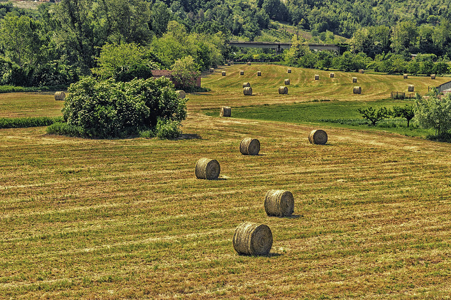 Bales Of Hay On The Mown Fields Photograph by Vivida Photo PC