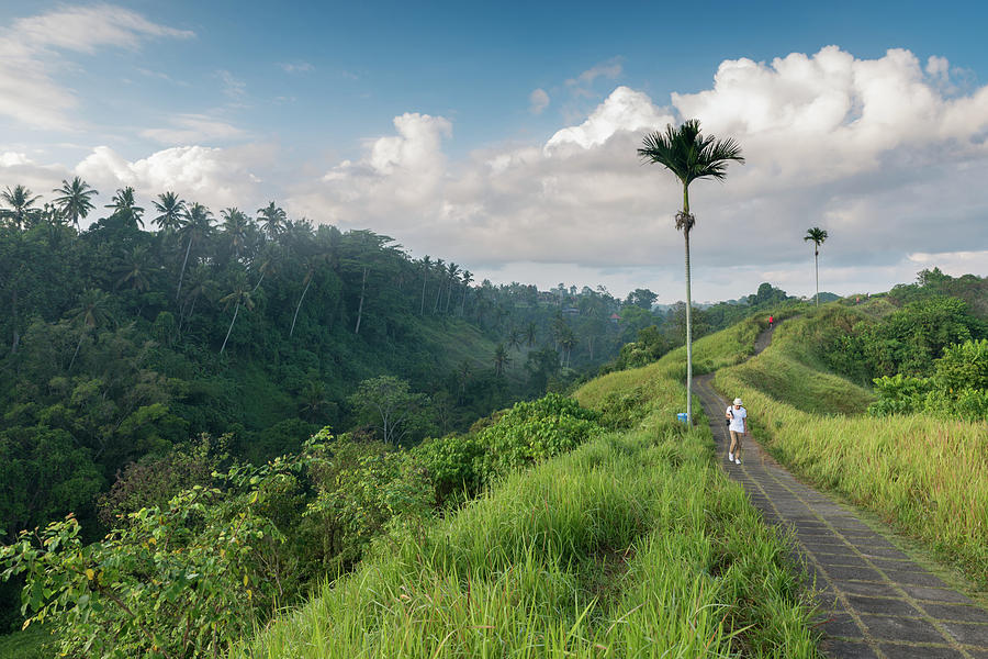 Bali Pathway by Ian Robert Knight Bali Pathway by Ian Robert Knight