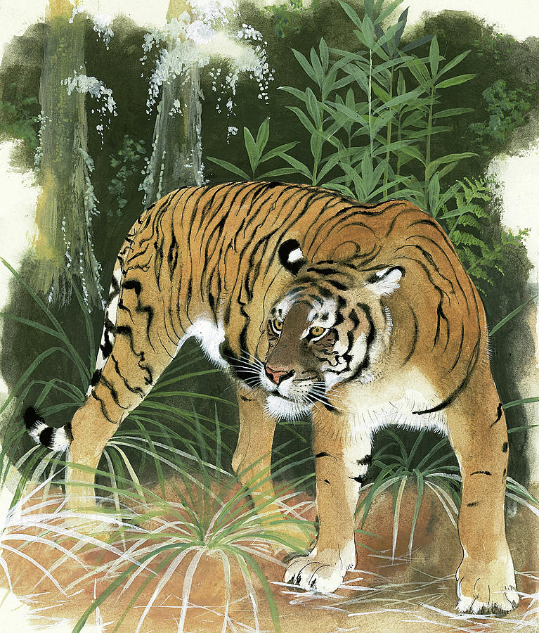 Bali Tiger Painting by Maurice Wilson
