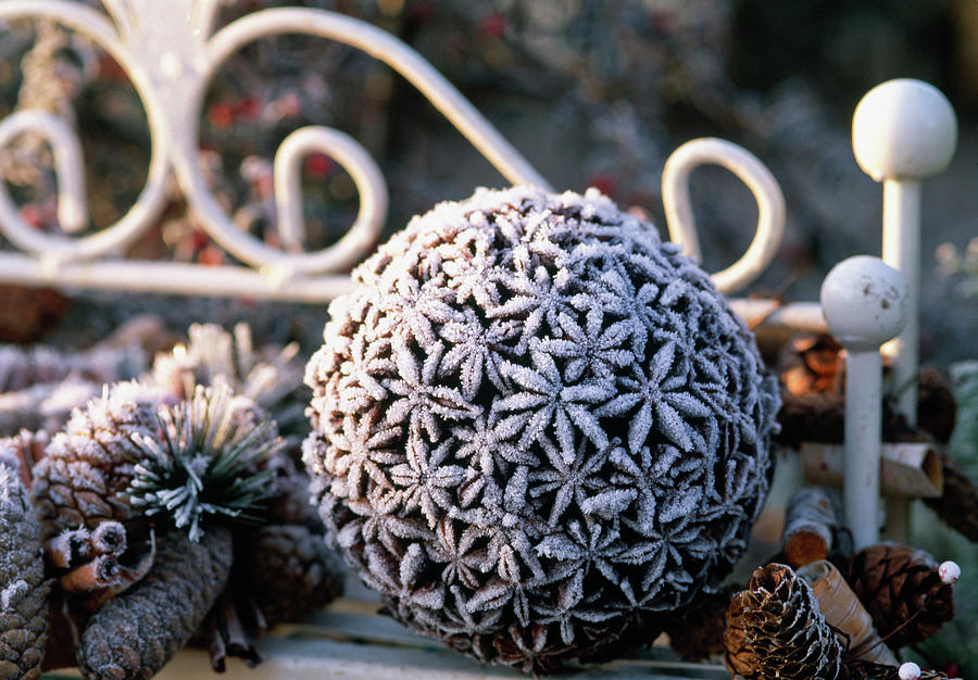 Ball With Star Anise Covered In Hoarfrost, Cones Photograph by Friedrich Strauss