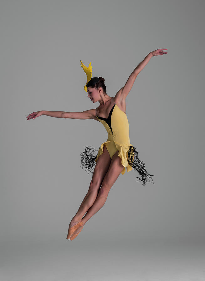 Ballerina Leaping With Yellow Bird Photograph by Nisian Hughes