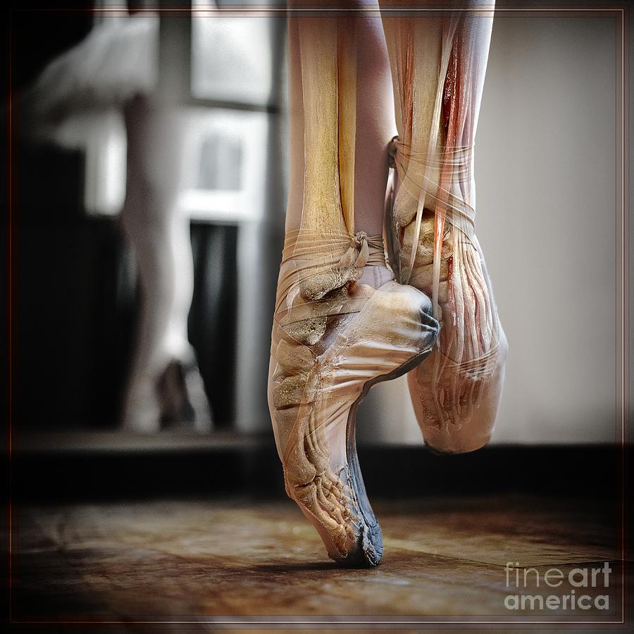 Ballet Dancers Foot Photograph by Singlecell Animation Llc/science Photo Library