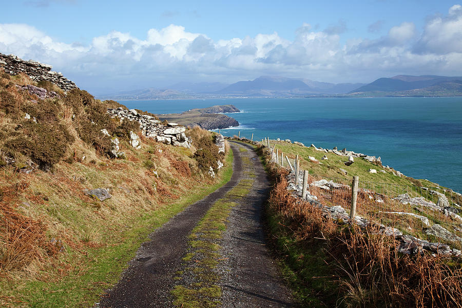 Ballinskelligs Bay Near Ballinskelligs Photograph by Design Pics ...