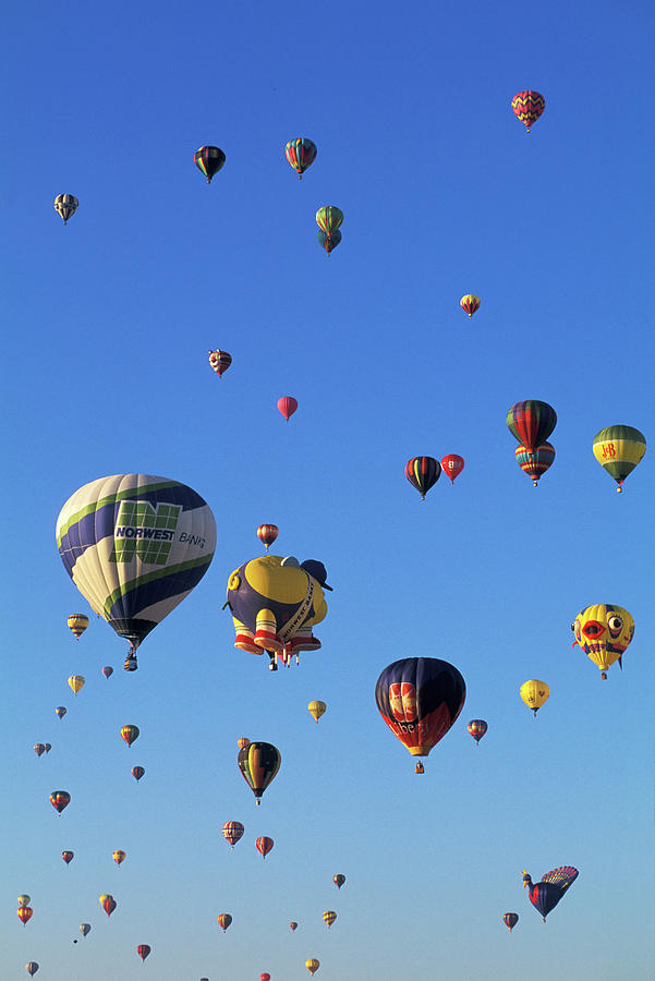 Balloon Festival In Albuquerque Digital Art by Heeb Photos