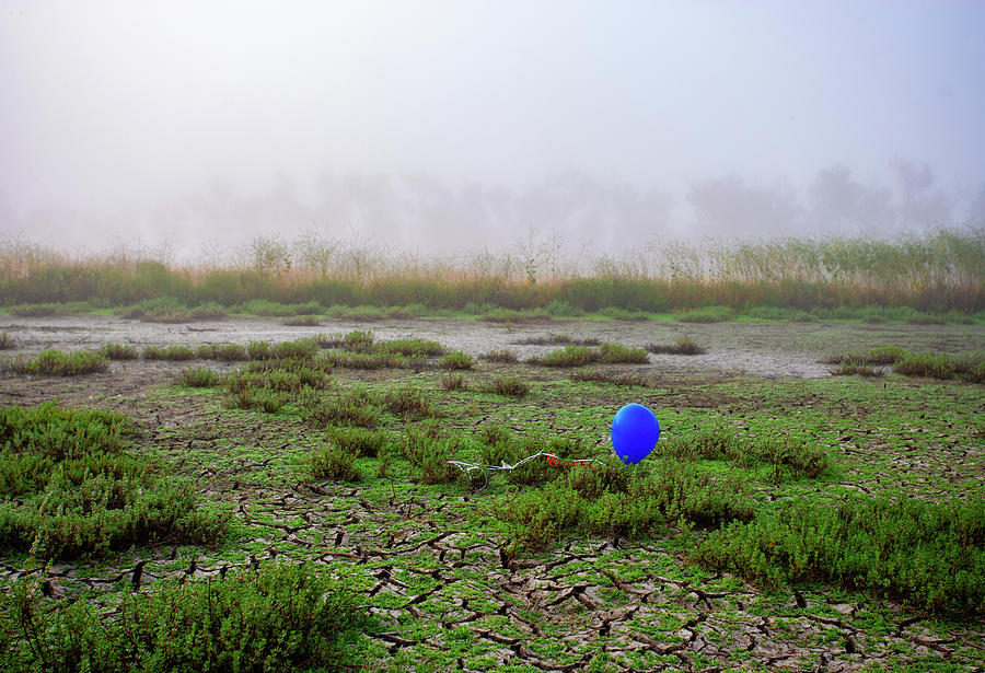 Balloon in the Lake Bed Photograph by Anthony Jones