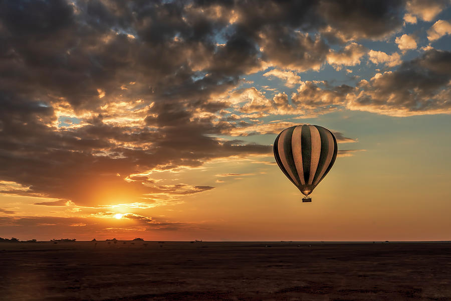 Balloon over Serengeti 3 Photograph by Betty Eich