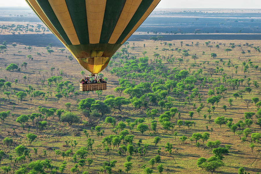 Balloon Over the Serengeti Photograph by Betty Eich