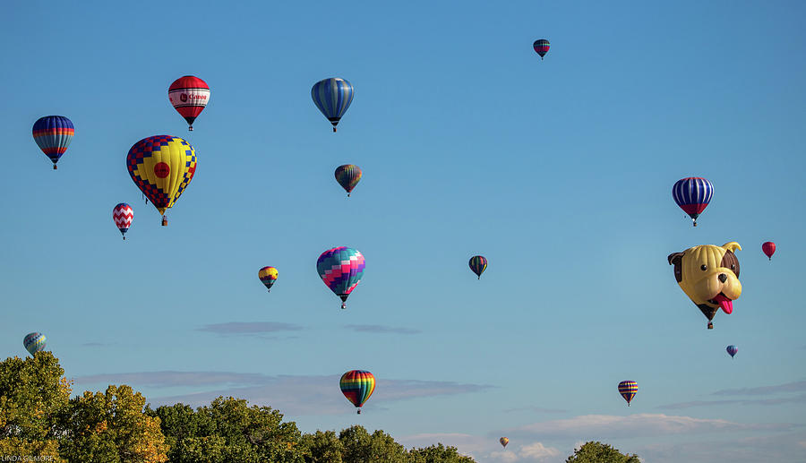 Balloonapalooza Photograph by Linda Gilmore - Fine Art America