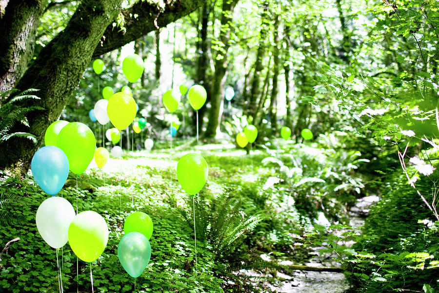 Balloons In A Forest 3 Photograph by Todd Pearson