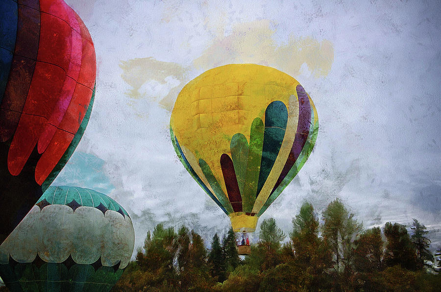 Balloons Photograph by Thom Zehrfeld