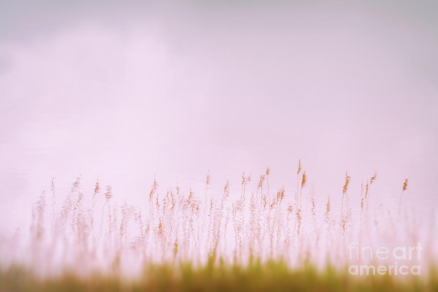 Baltic sea #4007 by Andrey Godyaykin Baltic sea #4007 by Andrey Godyaykin