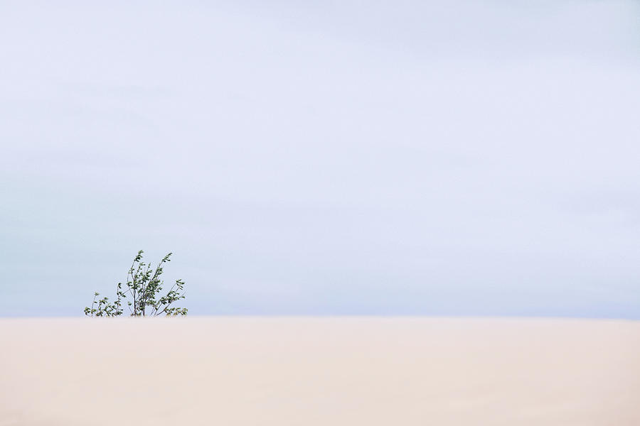 Baltic sea #4395 by Andrey Godyaykin Baltic sea #4395 by Andrey Godyaykin