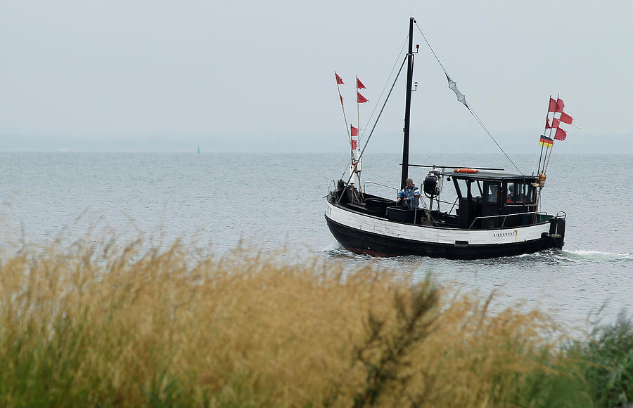 Baltic Sea Fishermen Face Uncertain Photograph by Sean Gallup