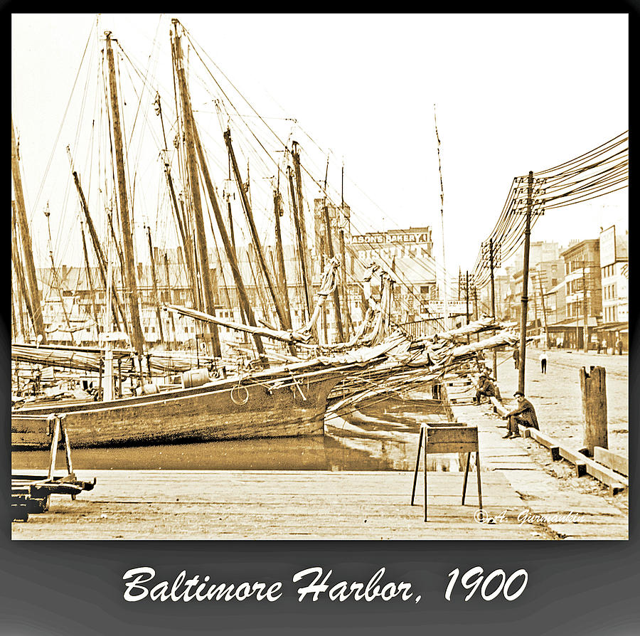 Baltimore Harbor 1900 Vintage Photograph Photograph by A Macarthur Gurmankin