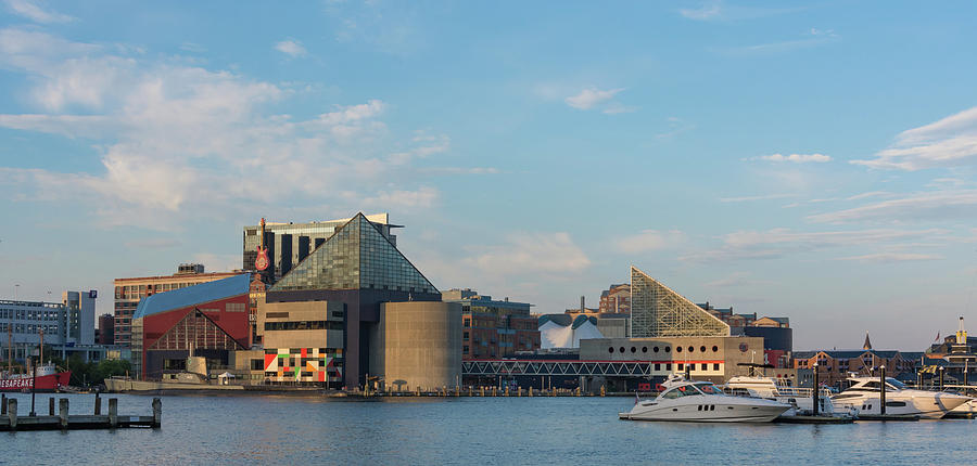 Baltimore Harbor on a Summer Evening Photograph by Liz Albro