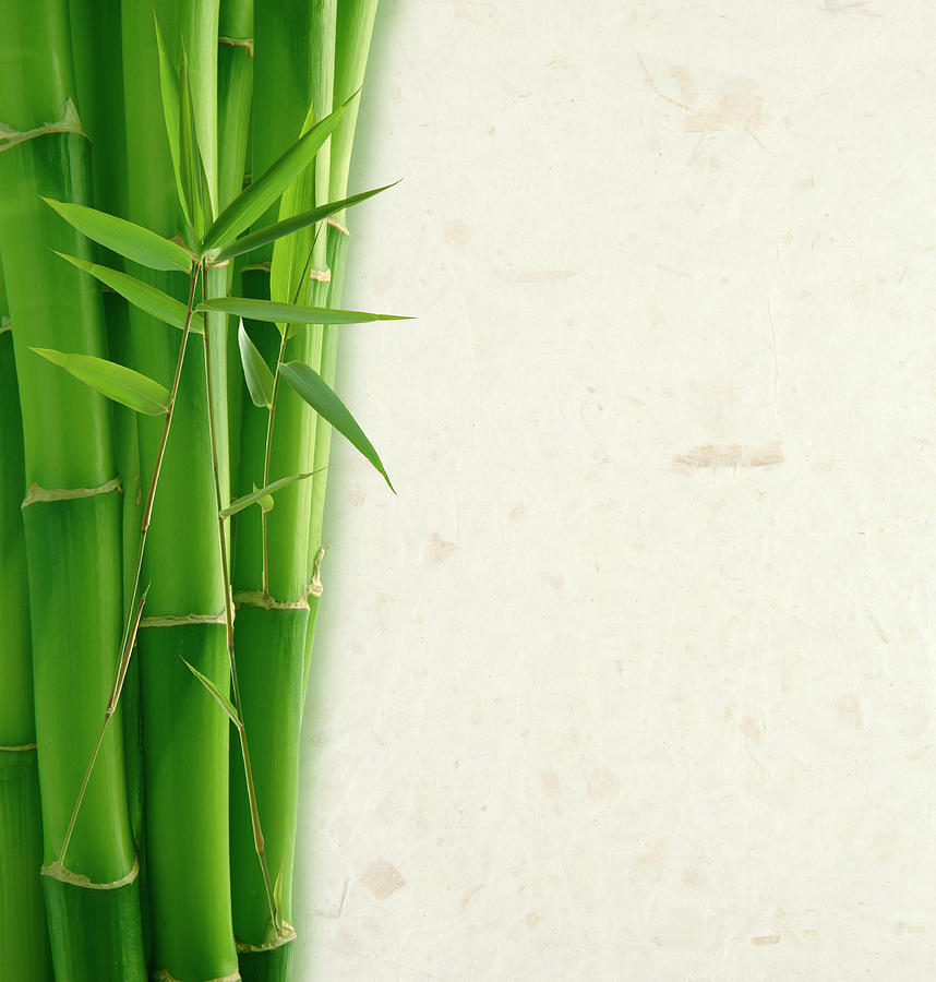 Bamboo And Rice Paper Photograph by Pixhook