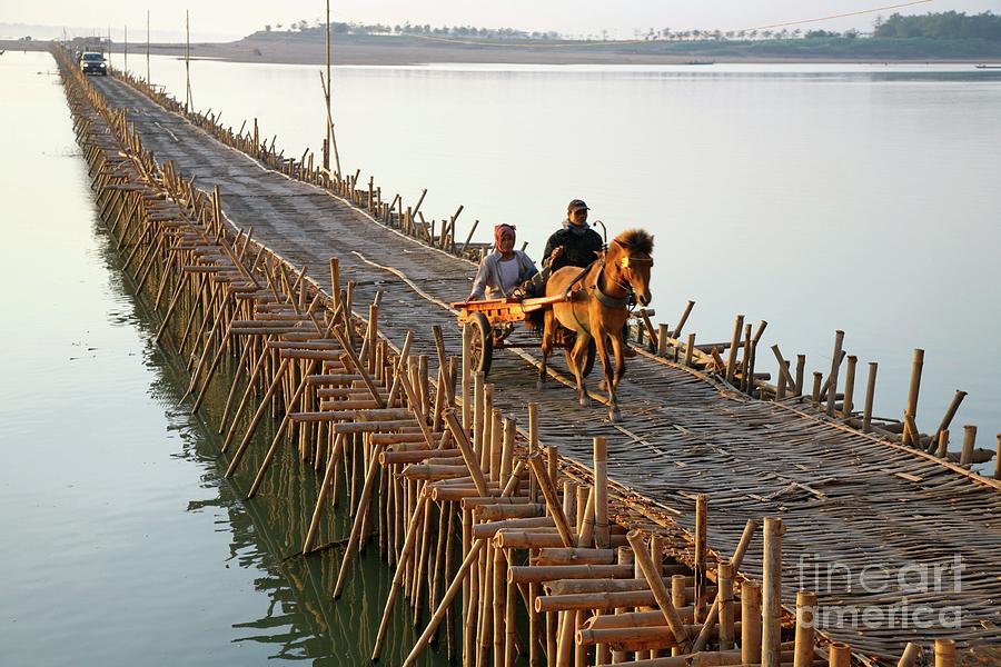 Bamboo Bridge Photograph by Bjorn Svensson/science Photo Library