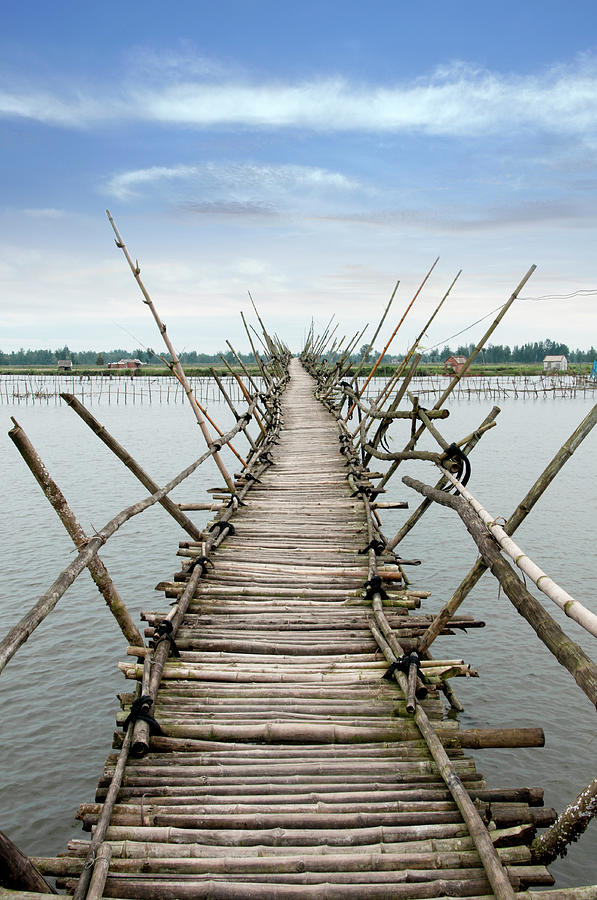 Bamboo Bridge Photograph by Maxphotography