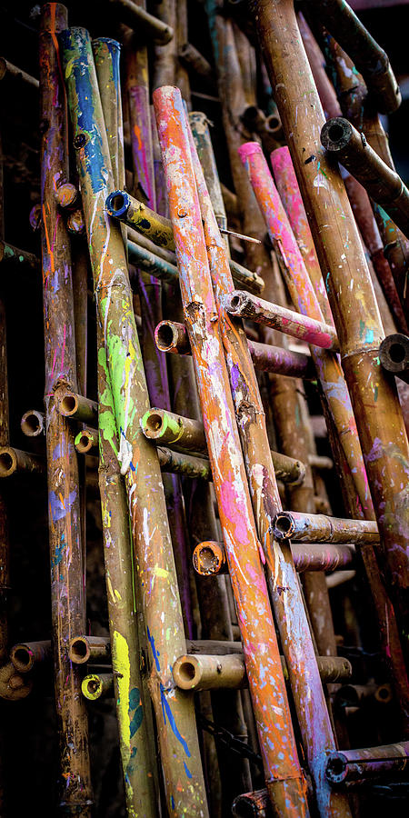 Bamboo Photograph - Bamboo by Dan Ballard