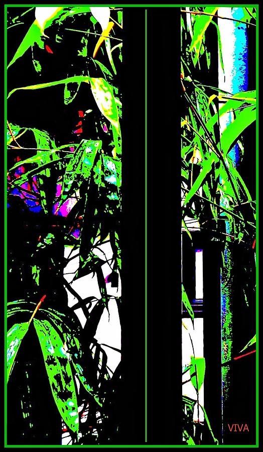 Bamboo Exotica by VIVA Anderson Bamboo Exotica by VIVA Anderson
