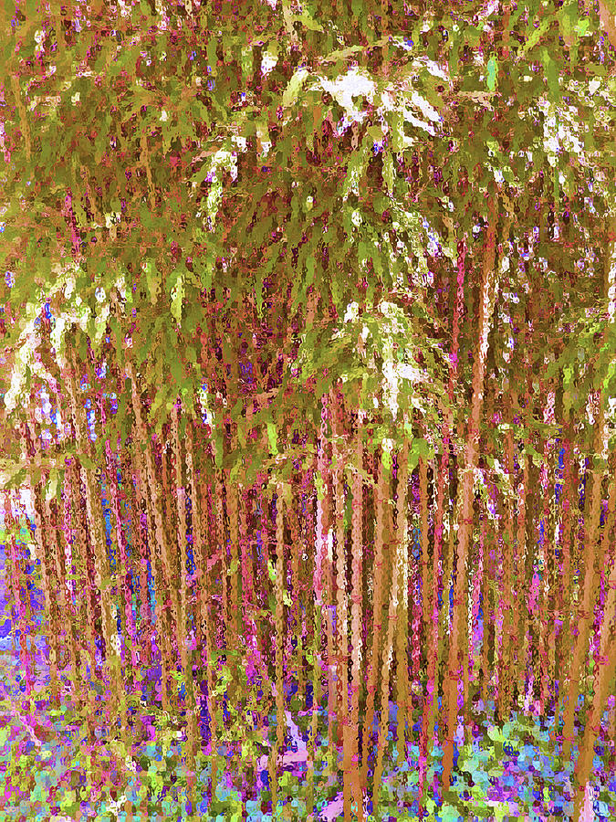 Bamboo Grove Light Digital Art by Ann Johndro-Collins