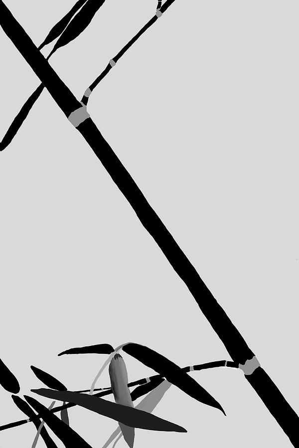 Bamboo Impressions A BW by Jim Dollar Bamboo Impressions A BW by Jim Dollar