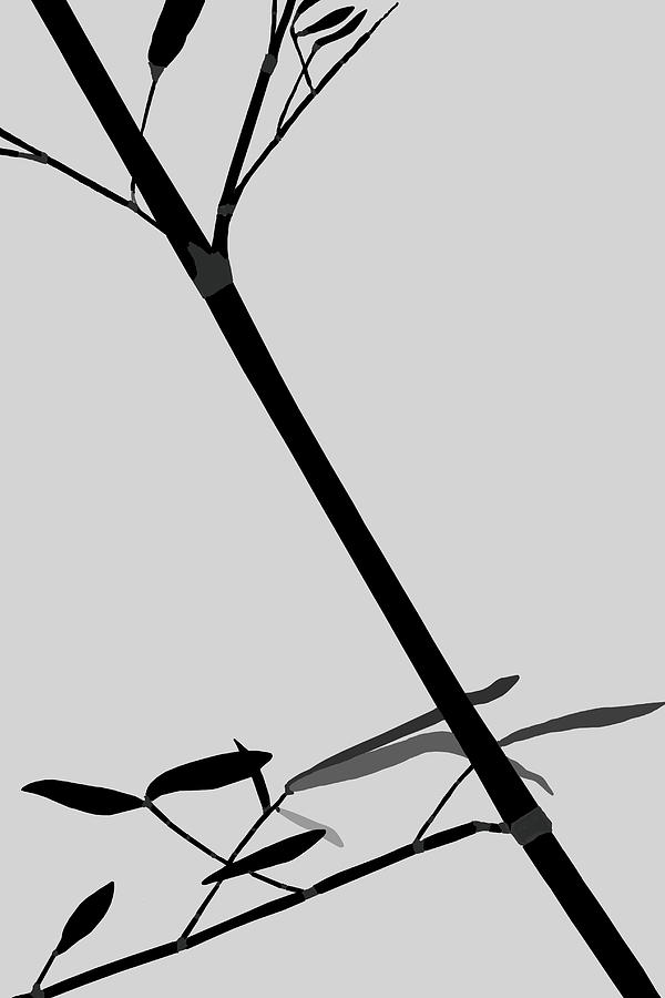 Bamboo Impressions I BW by Jim Dollar Bamboo Impressions I BW by Jim Dollar
