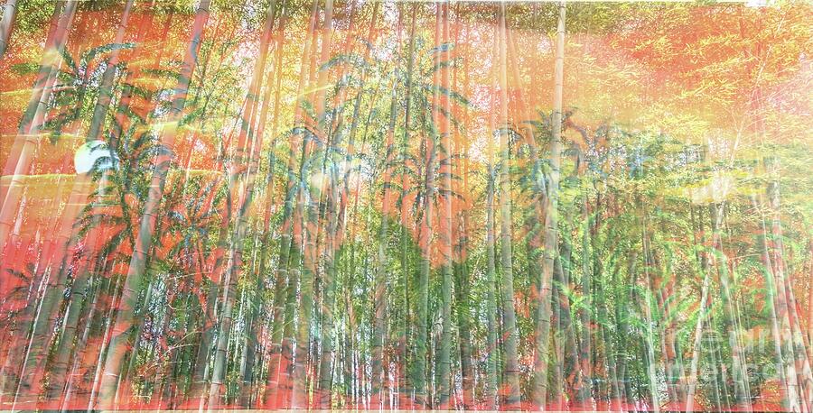 Bamboo Jungle overlay Painting by Michael Silbaugh