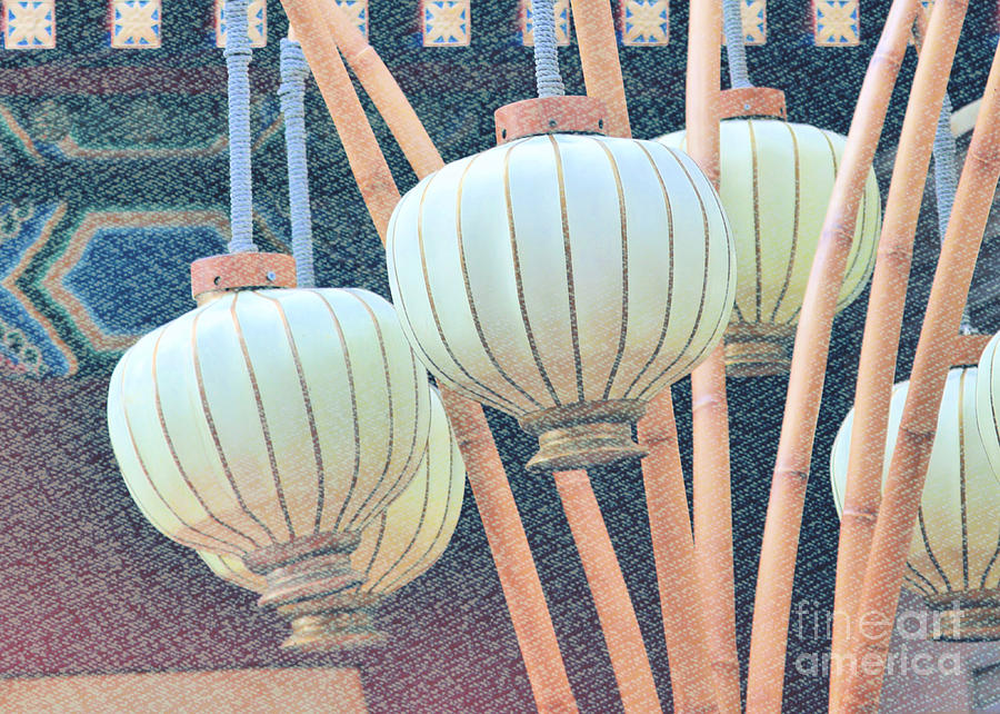Bamboo Lanterns Photograph