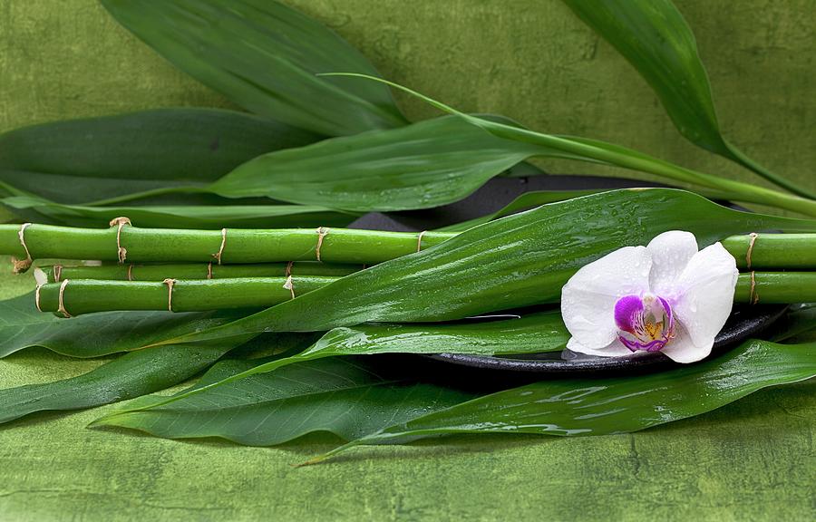 Bamboo Stems Decorated With White Orchid Blossom Photograph by Uwe Merkel